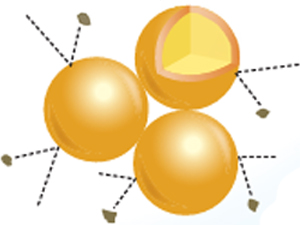 超低汚染性でずっと美しく